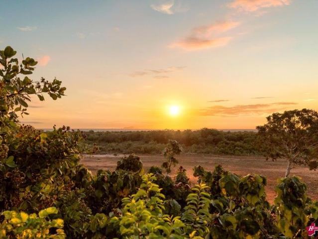 BUILD THE DREAM ON 5 GENTLY SLOPING ACRES IN GORGEOUS COCONUT WELL AND WITH DIRECT BEACH ACCESS