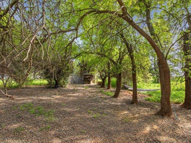 Build Your Dream Amongst the Gum Trees