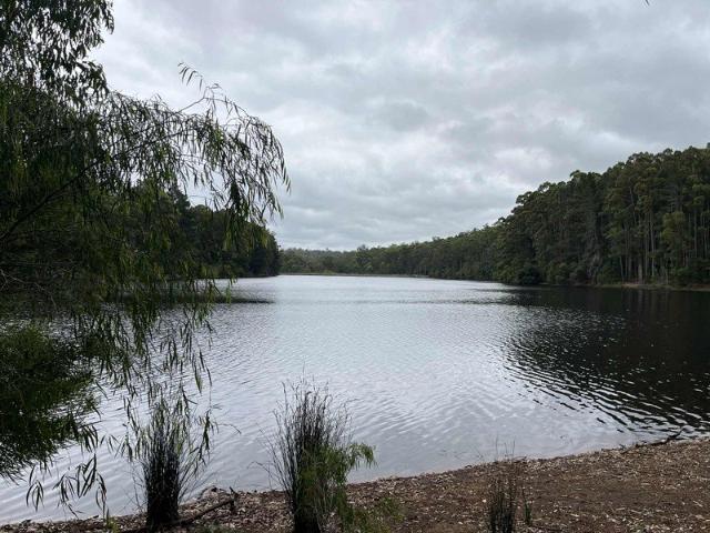 Build Your Dream Home by the Lake