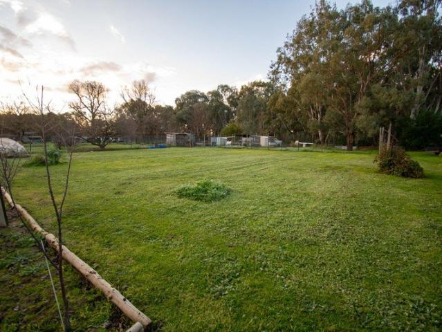 Build Your Dream Home in a Peaceful Setting