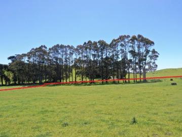 Alcomie, Circular Head, Walker Island, Cloudy Bay, Kingborough, Tasmania Island