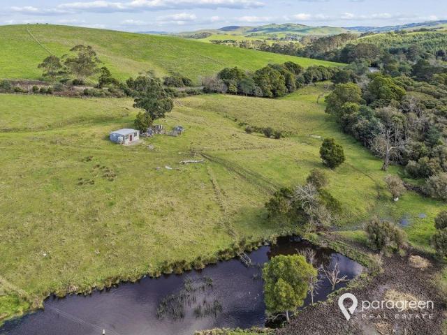 Build Your Dream Home on 9.1 Acres of Peaceful Country Living