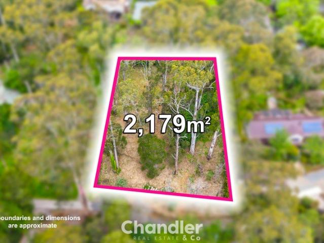 Build Your Dream Home STCA on Over Half an Acre in Leafy Tecoma