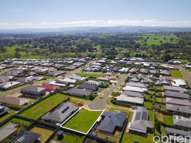 Build Your Dream Home with Views to Match
