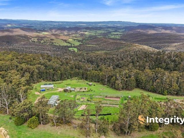 Build Your Dream Home with Breathtaking Yarra Valley Views