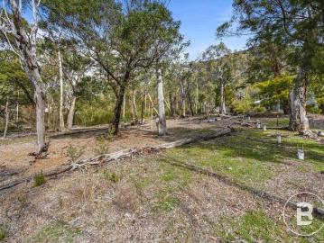 Build Your Dream 809sqm Allotment