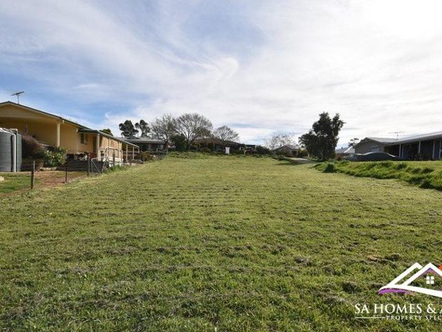Build Your Future in the Heart of Springton