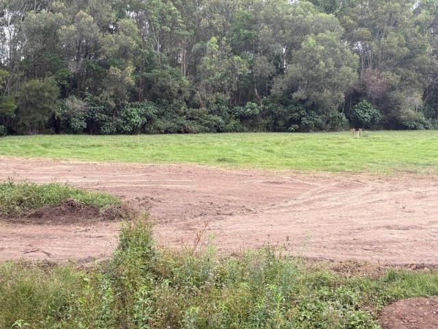 Build Your Future in a Peaceful Morayfield Court