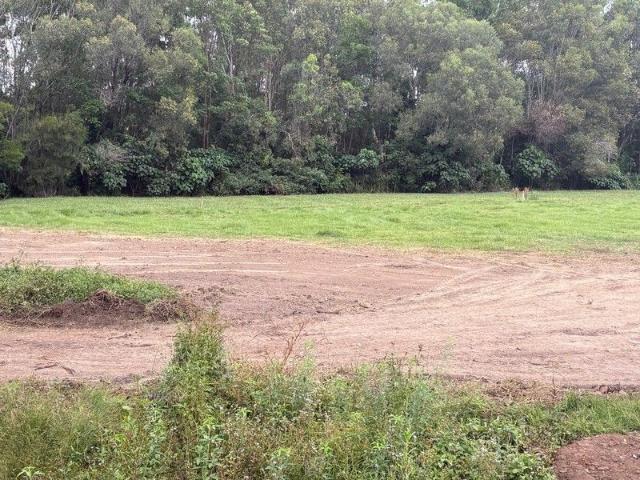Build Your Future in a Peaceful Morayfield Court