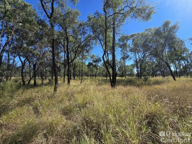 Build Your Future on 5 Acres