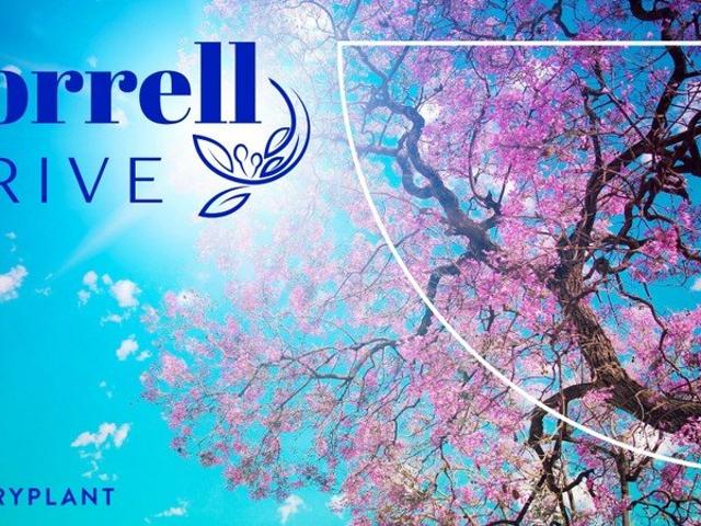 Build your future on Yorrell Drive