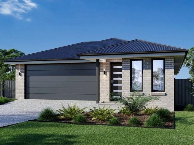 Build New Olearia Morwell