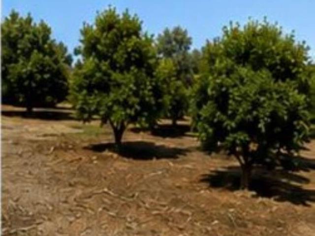 Building Plot for rent in Alhaurín de la Torre, Málaga