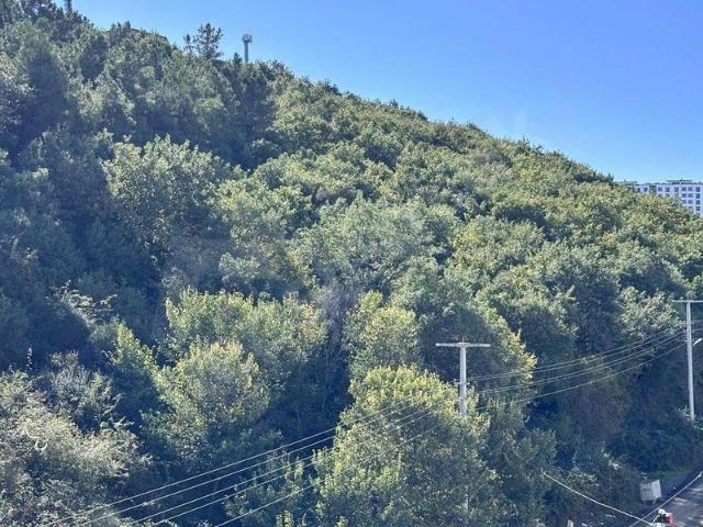Bulut Emlaktan  Tramvay üstü fırsat 1+1 daire