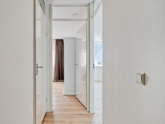Bulgersteyn 7263