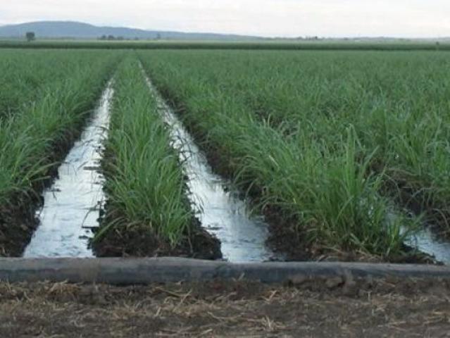 Burdekin soils and water