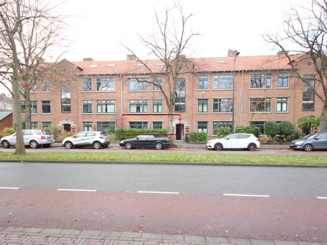 Burggravenlaan, Leiden