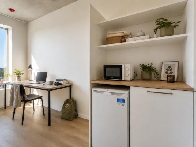 Burgemeester Vercruysselaan 3, kamer
