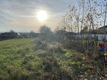 Neusiedl am See, Gemeinde Neusiedl am See, Bezirk Neusiedl am See, Burgenland