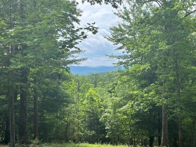 Burger Rd Lot 49, Murphy, NC 28906