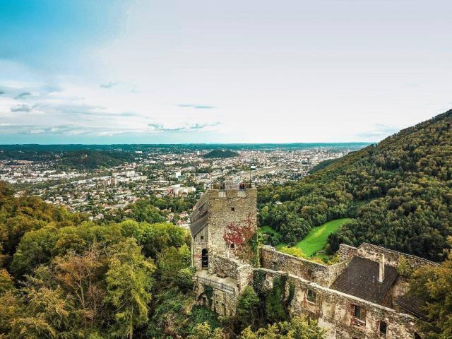 Burgruine in Stadtnähe – Investment mit außergewöhnlichem Potenzial