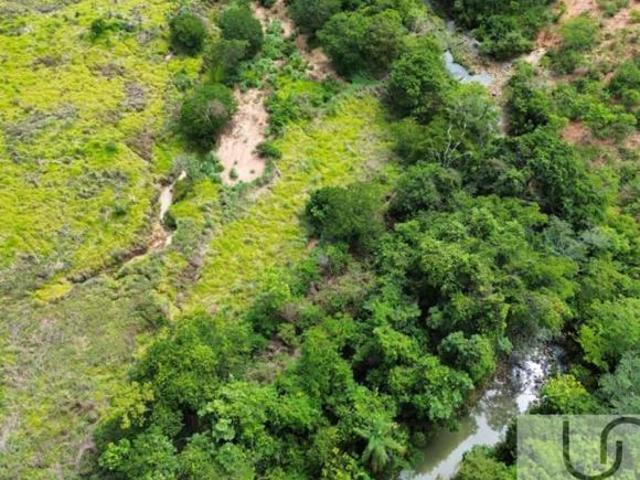 BURITIS MINAS GERAIS FAZENDA