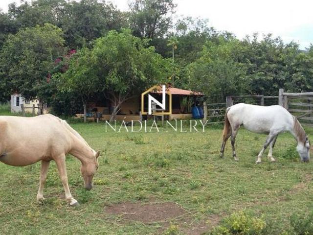 BURITIS/MG FAZENDA