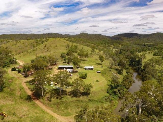 Burnett River Breeding