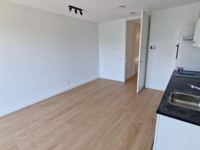 Burnhamstraat 55