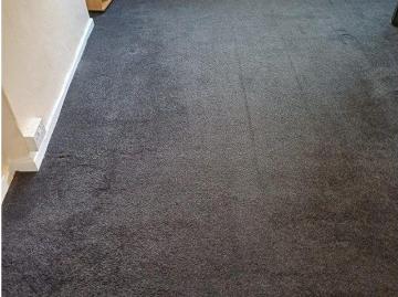 Apartment for rent in Shetland - Garden