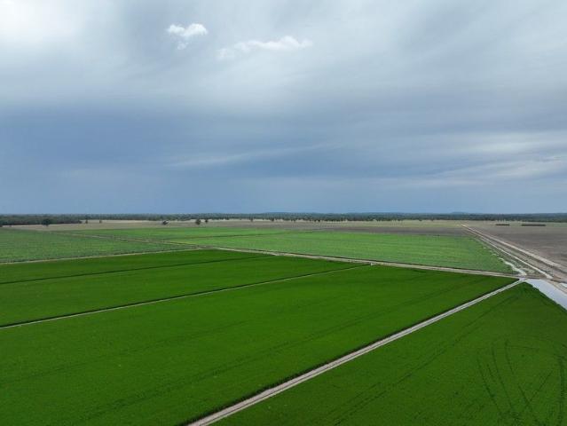 Burnside Premier Irrigated Cropping & Grazing on the Yanco Creek
