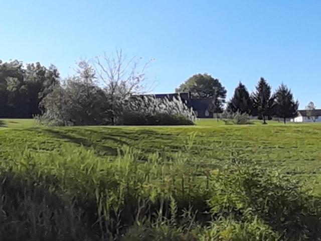 Burnt Meadow Rd