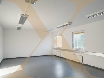 Rosenau, Wels, Wels, Oberösterreich - Büroraum