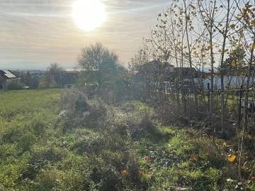 Neusiedl am See, Gemeinde Neusiedl am See, Bezirk Neusiedl am See, Burgenland