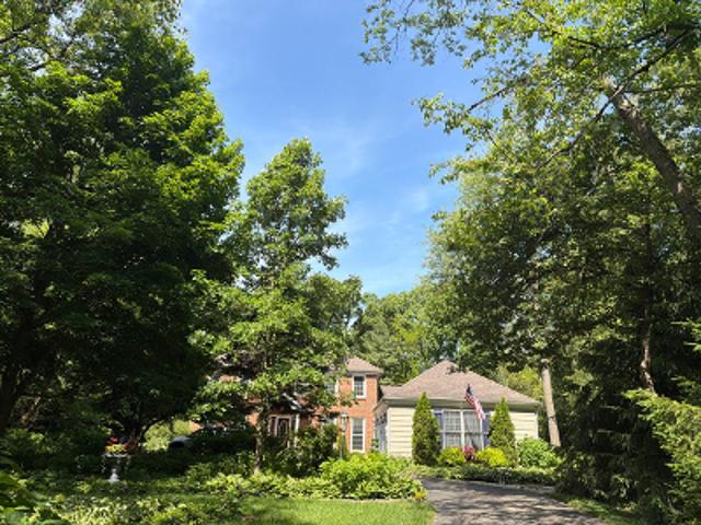 Burr Oak Lane