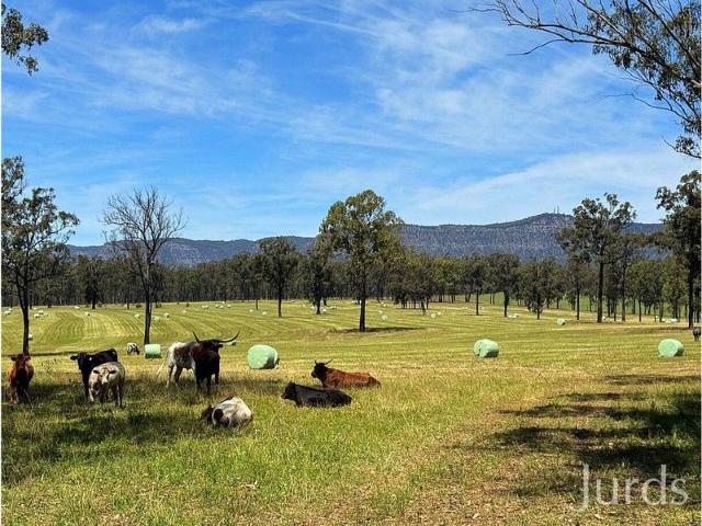 Burranura A Landmark 40 Hectare Holding in the Heart of Hunter Valley Wine Country