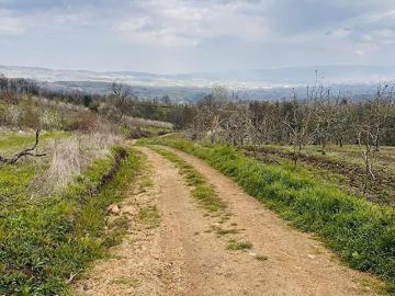 Babasultan, İnegöl, Bursa ili, Marmara Bölgesi