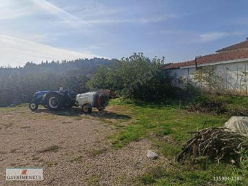 Mudanya, Bursa ili, Marmara Bölgesi