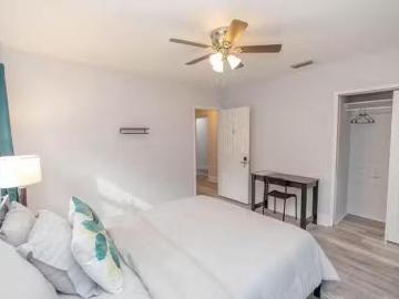 Bus Stop at Your Door Remodeled Tampa Home Near Busch Gardens.