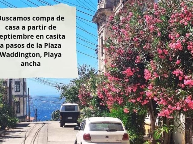 Buscamos compañer@ de casa cerca plaza Waddington