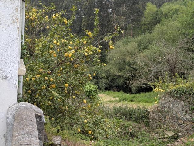¿Buscas un proyecto auténtico en el paraíso asturiano? En Pi. 100m² Cudillero