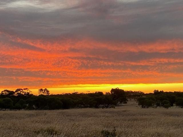 Bush acreage with sheds