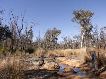 Dwelling entitlement Bush Block with creek