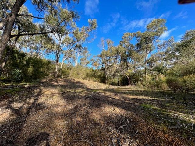 PRICE ADJUSTMENT VENDORS MOTIVATED TO SELL Bush Hideaway at Lake Eildon!