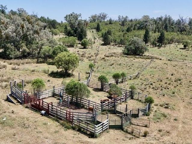 BUSH RETREAT