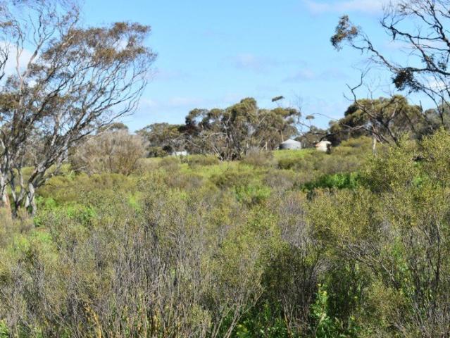 Bush Retreat