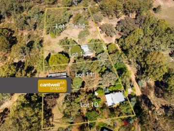 Bush Setting, Blank Canvas