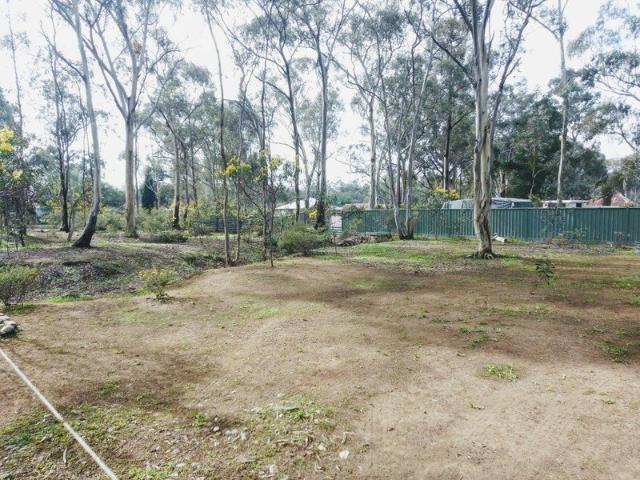 BUSH WEEKENDER IN THE HEART OF GOLD COUNTRY!