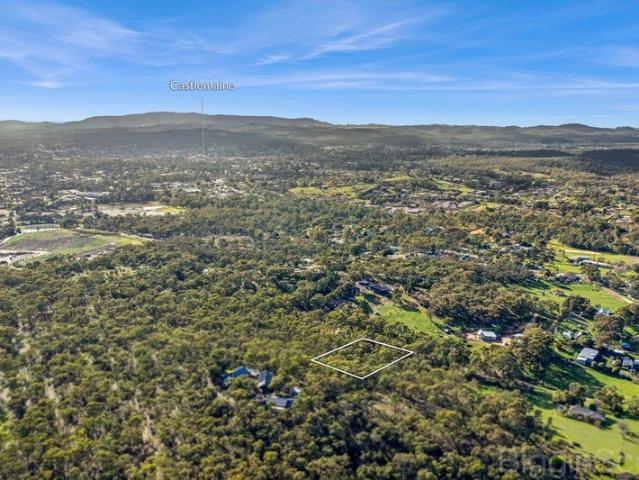 Bushland Blank Canvas in Township Zone