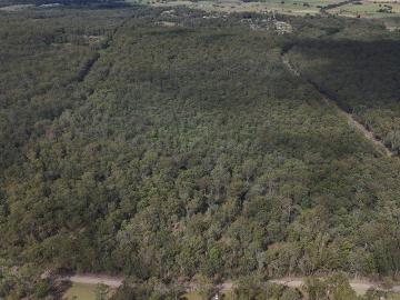 Bushland Bliss